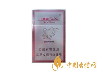 高档钟鼎香烟一手货源